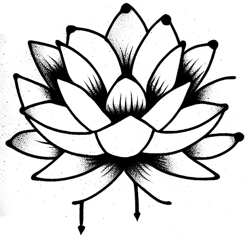 Lotus Flower With The Name Indie
