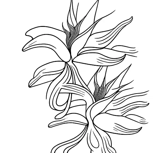 Three Birds Of Paradise Flowers With Dainty Bird Flying Over It