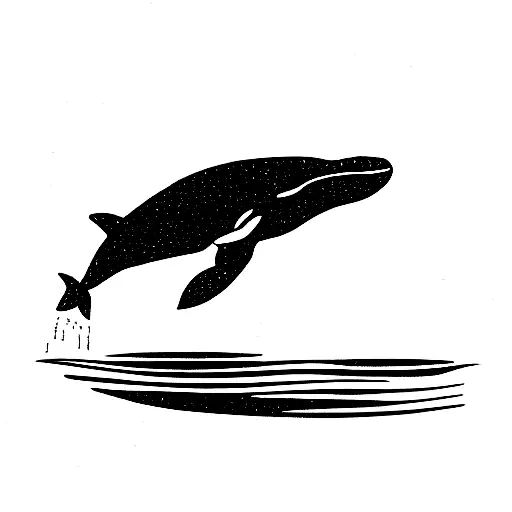 Whale Splashing Water