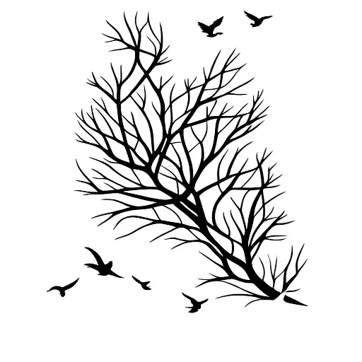 Forest Trees With Birds