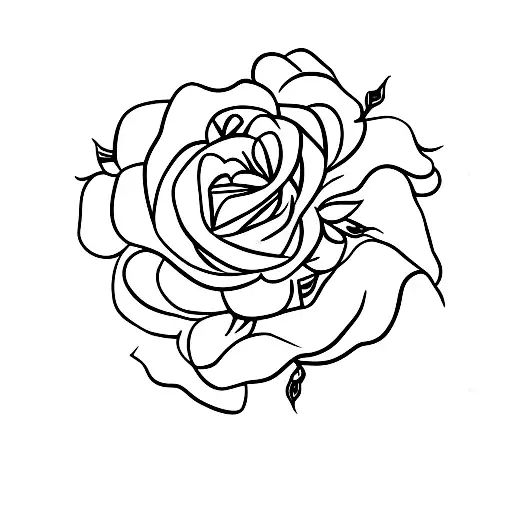 Rose Carnation Holly