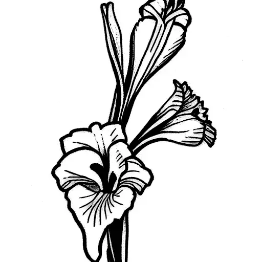 Gladiolus With Word Caleb