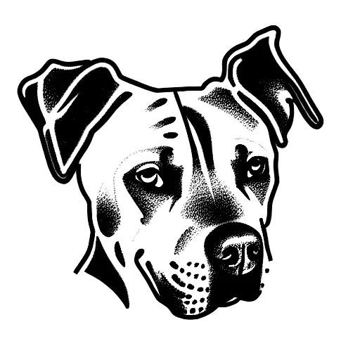 Black Lab Pit Bull Mix Dog Ears