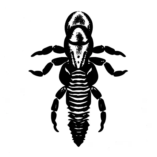 Monochrome Minimalistic Scorpion Made Out Of 69