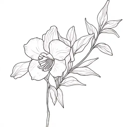 Lys Flower And Orchid