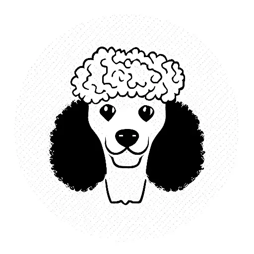 Poodle Dog With Afro Hair