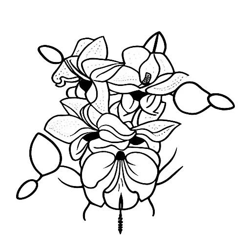 Single Orchid With Meghana