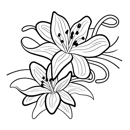 Lily Inside Rectangle