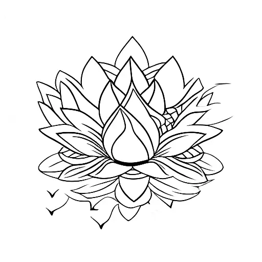 Lotus Flower And Fish Koi