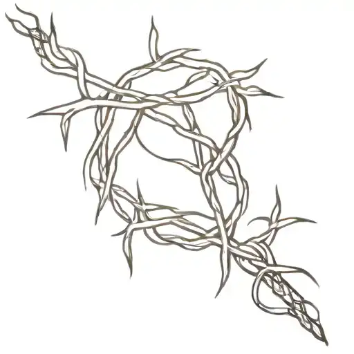 Crown Of Thorns Biblical
