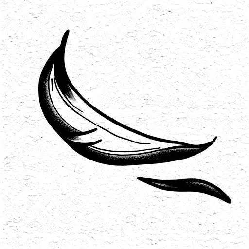 Ocean Waves Swallows