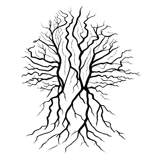 Human Tree With Roots