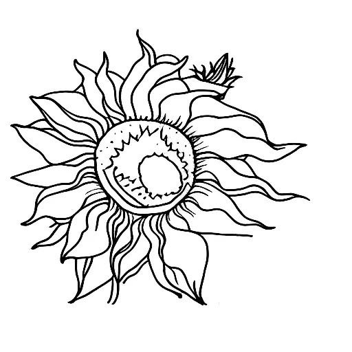 Small Sunflower With Stem