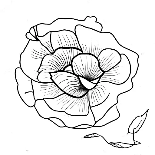 Poppy Flower With The Date 08 13 1979 In The Middle