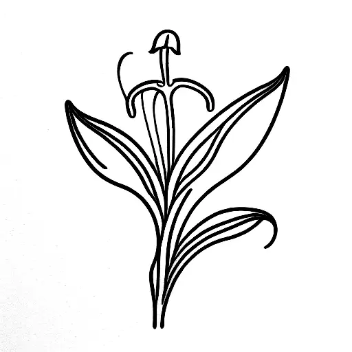 Lily Of The Valley By Queen