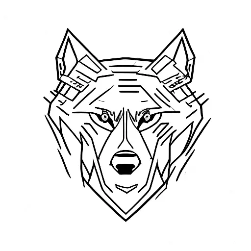 Lone Wolf Separated From His Pack