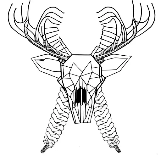 Deer Skull Stuck In Barbed Wireo
