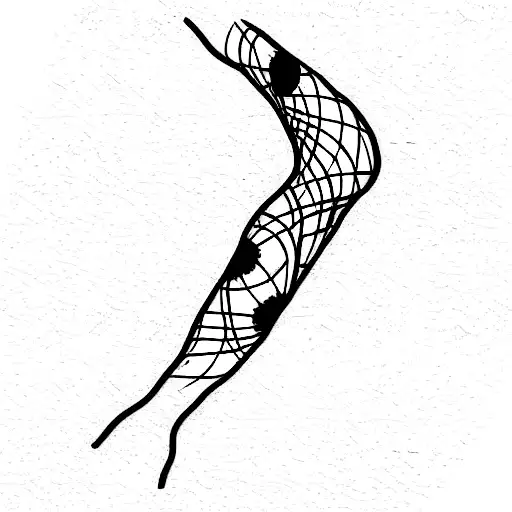 Perspective And Insight Word Straight Line On Legs