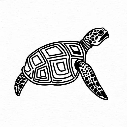 Turtle In Space With Saturn And Venus