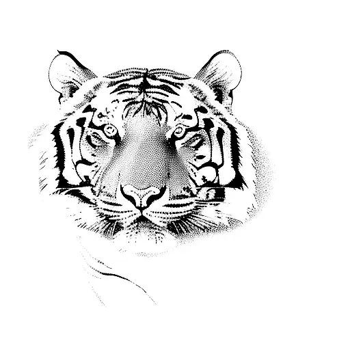 A Tiger
