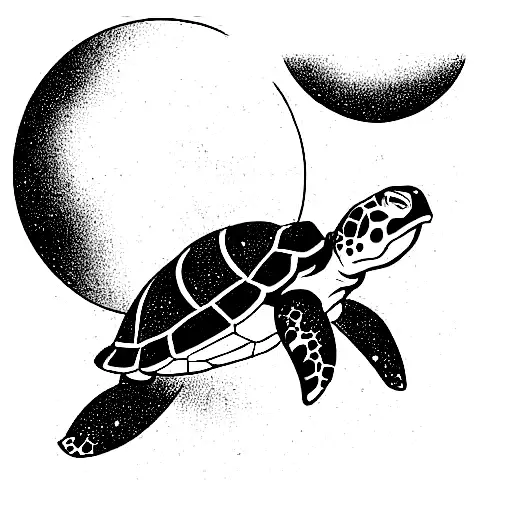 Turtle In Space With Saturn And Venus