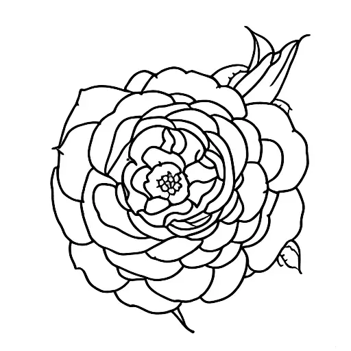 December Birth Flower 1991-2012