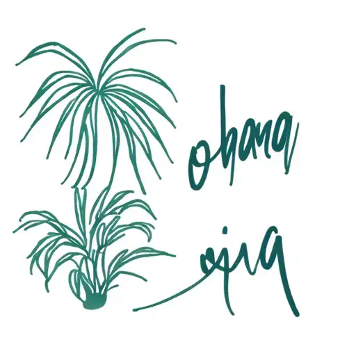 Palmera And Word Ohana