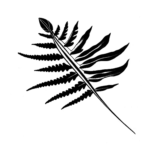 Fern Leaf With A Moth