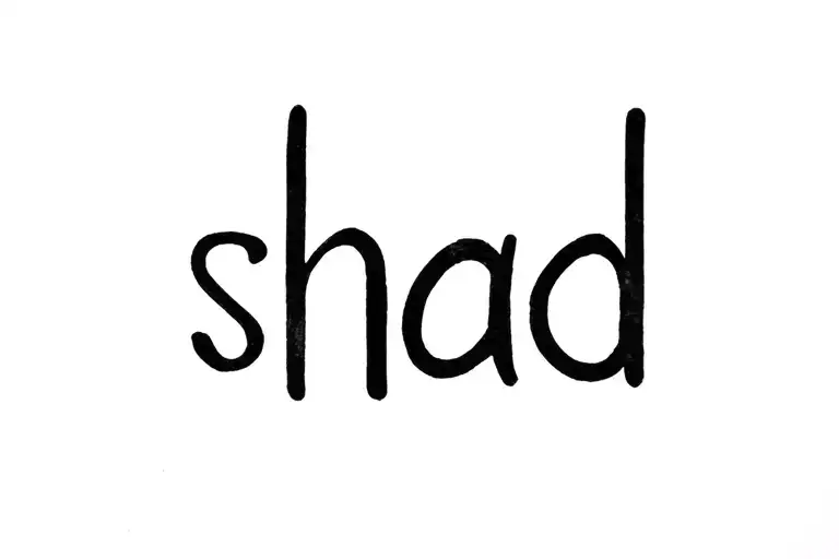 Tattoo With The Word Shad1s