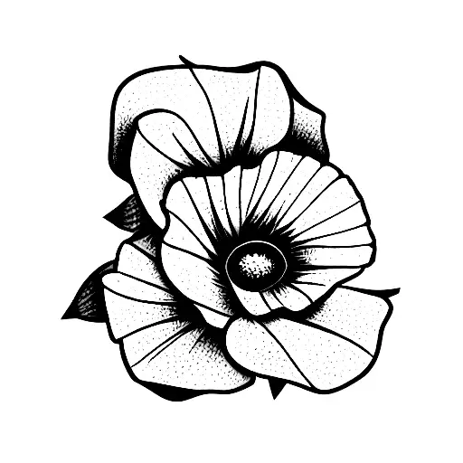 Bouquet Poppy Rose Daisy Honeysuckle Carnation