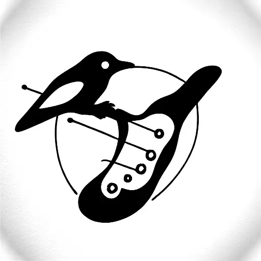 Black Birds Fling Arround A Guitar