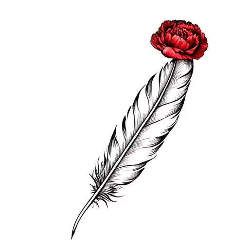 Feather And A Red Carnation