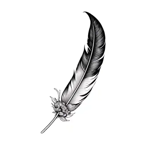 Feather And A Red Carnation