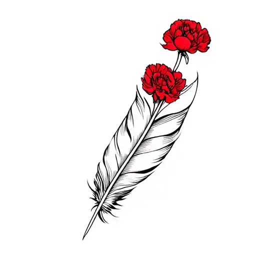 Feather And A Red Carnation