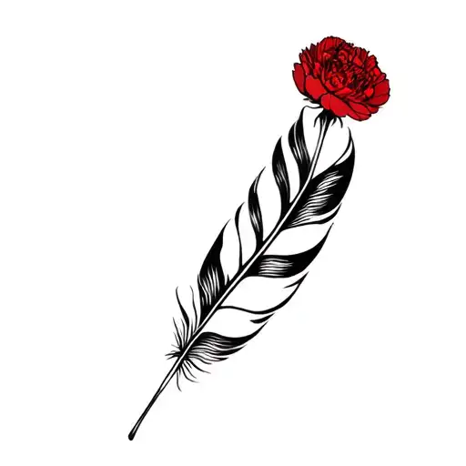 Feather And A Red Carnation