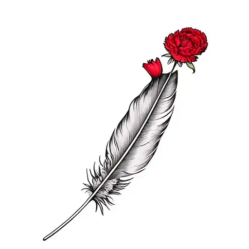 Feather And A Red Carnation