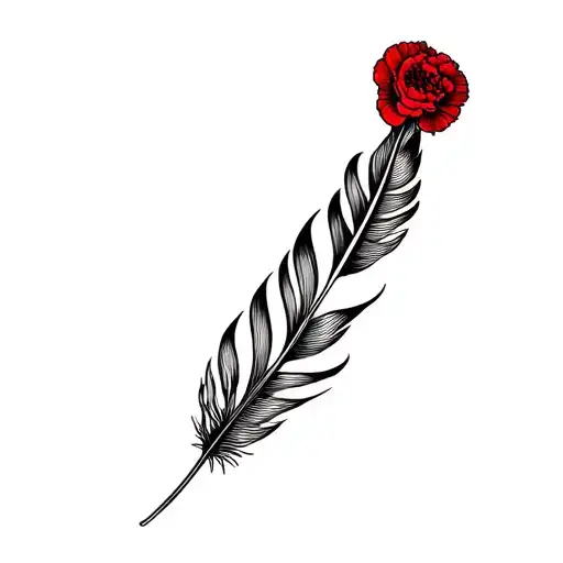 Feather And A Red Carnation