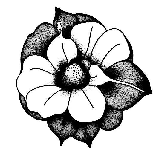 Birth Flower January And October