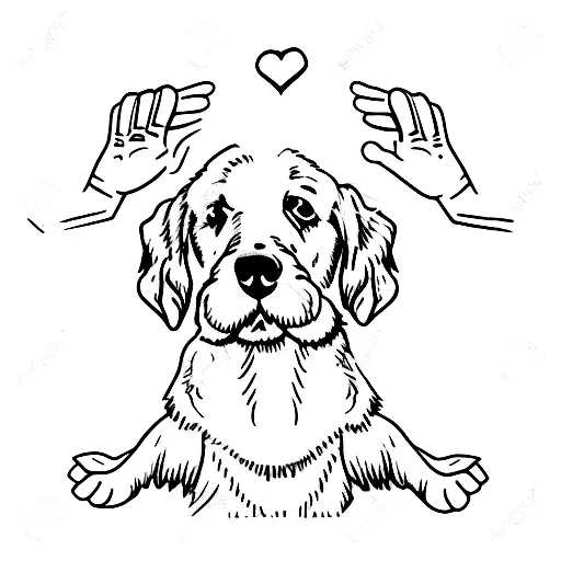 Dog And His Hand Touching Male Human Hand With Heart On Top