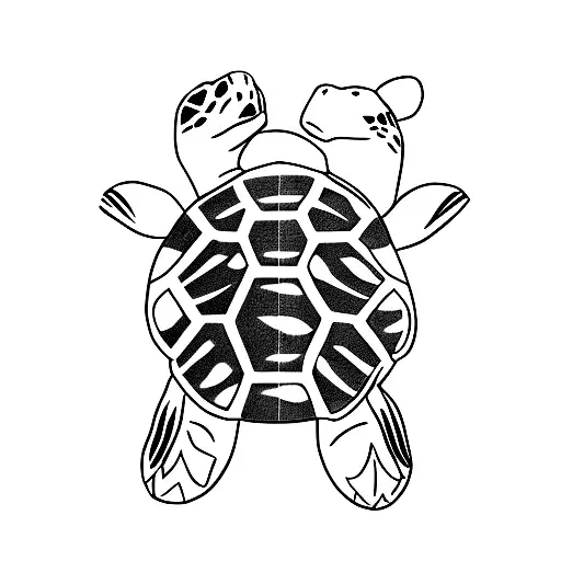 Turtle With A Bear