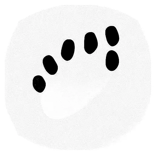 Dog Footprint With The Word Polo