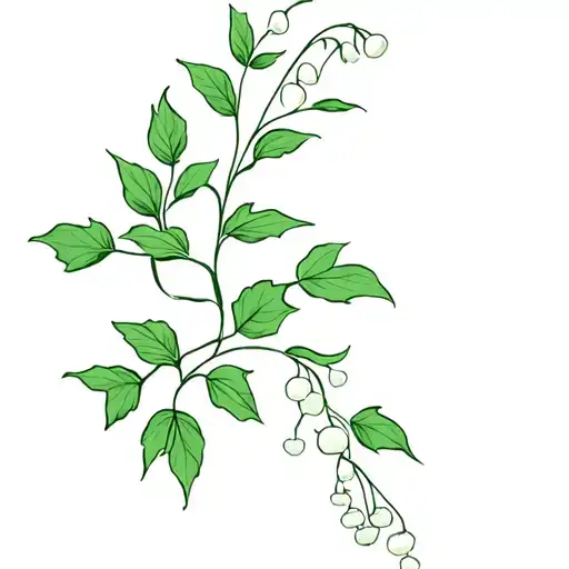 Ivy With Lily Of Valley Intertwined