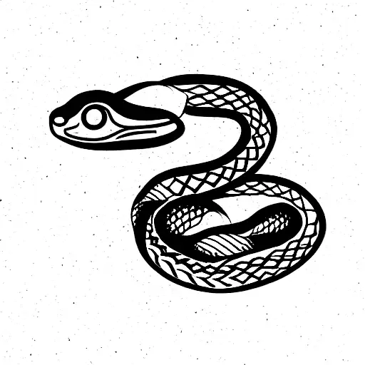 Snake And Dance Music