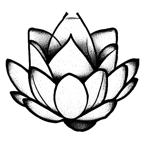 Lotus Flower Resilience