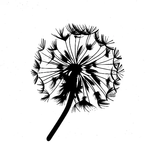 Dandelion In A Nebula