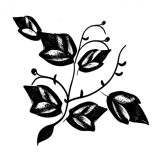 Vines With Dainty Leaves And Striped Of Color On Each Leaf