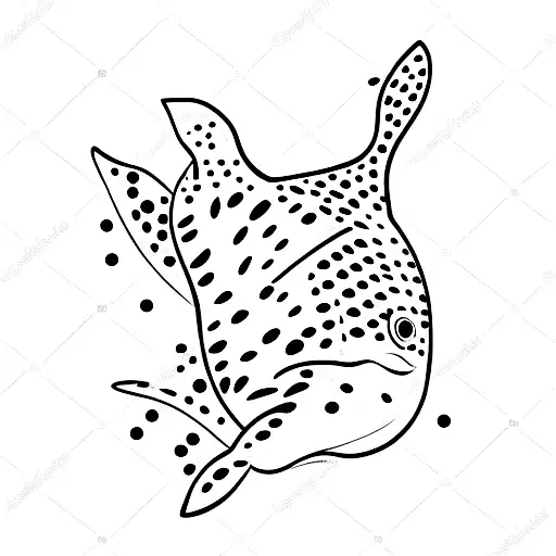 Whale Shark Swimming In The Ocean