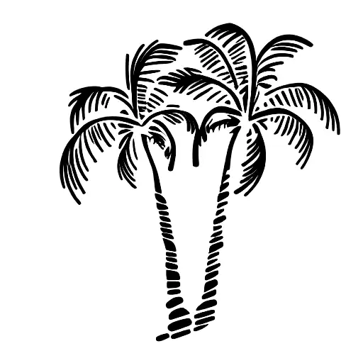 Palm Tree
