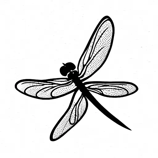 Dragonfly Riding An Apple