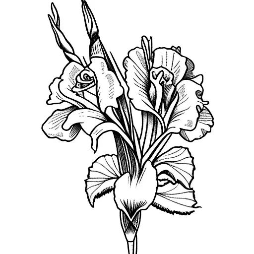 A Gladiolus And Rose